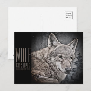 wolf postcard