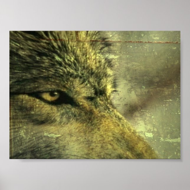 Wolf Poster (Front)