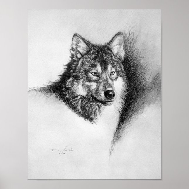 wolf print (Front)