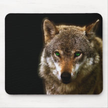 Wolf Profile with green eyes ~ editable background