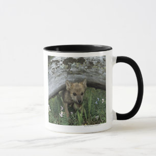 Wolf Puppy Going Under Log Mug