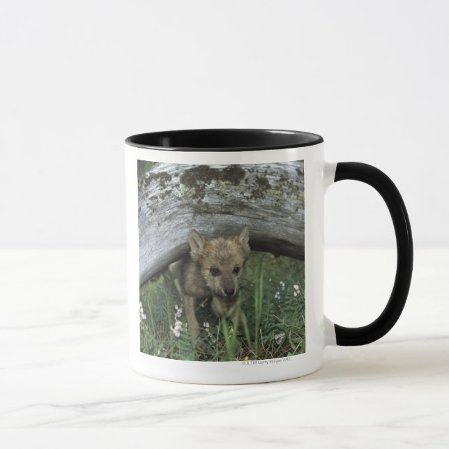 Wolf Puppy Going Under Log Mug (Right)