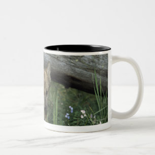 Wolf Puppy Going Under Log Two-Tone Coffee Mug
