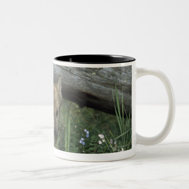 Wolf Puppy Going Under Log Two-Tone Coffee Mug (Right)