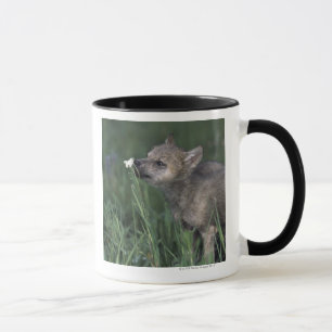 Wolf Puppy Sniffing Mountain Wildflower Mug