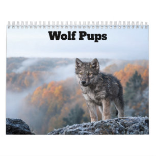 Wolf Pups 2027 Calendar