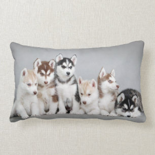 wolf pups lumbar cushion