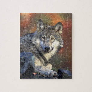 Wolf Puzzle