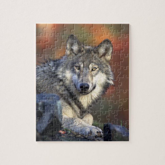 Wolf Puzzle (Vertical)
