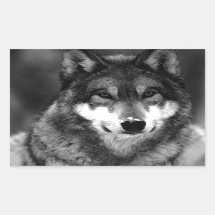 Wolf Rectangular Sticker