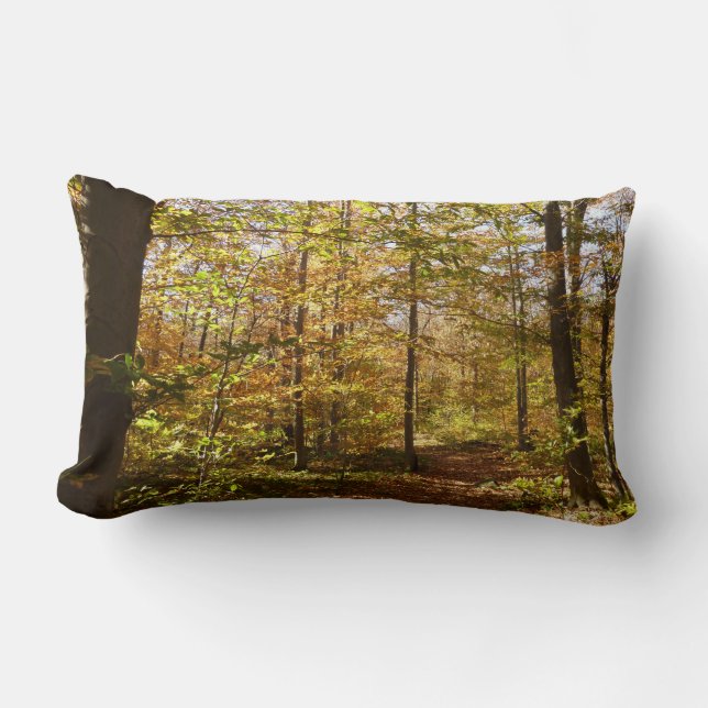 Wolf Rocks Trail in Autumn Pennsylvania Landscape Lumbar Cushion (Front)