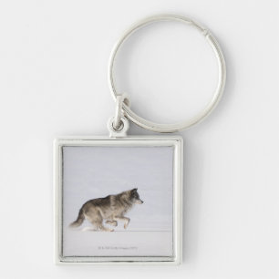 Wolf running in the snow 2 key ring