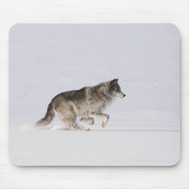 Wolf running in the snow 2 mouse pad (Front)
