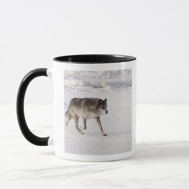 Wolf running in the snow mug (Left)