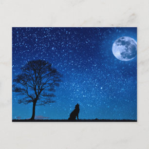 Wolf Silhouette Howling In The Moon Postcard