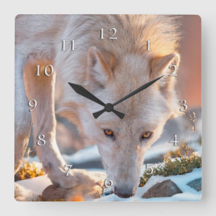 WOLF SNOW DRIFTER SQUARE WALL CLOCK
