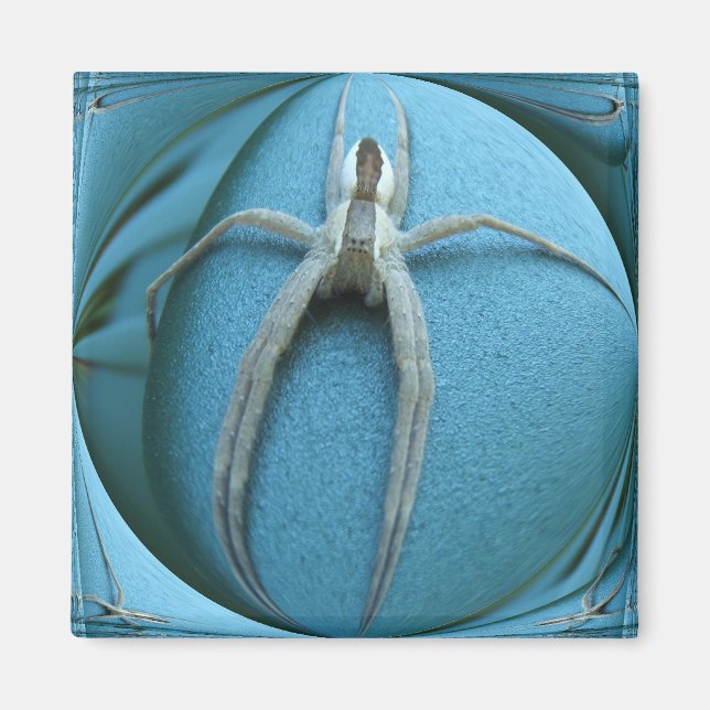 Wolf Spider ~ magnet (Front)