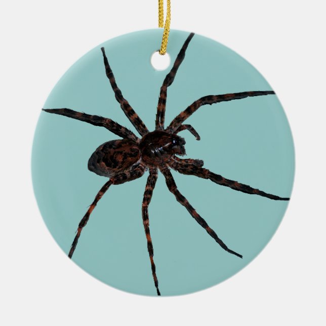 Wolf Spider ornament (Front)