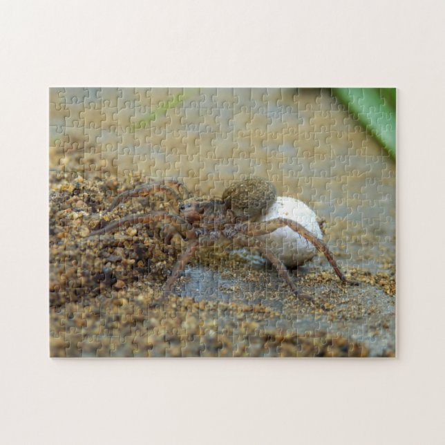 Wolf Spider With Egg Sac Photo Puzzle and Gift Box (Horizontal)