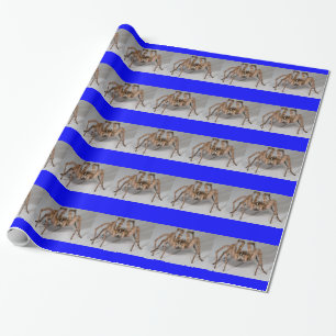 Wolf Spider Wrapping Paper