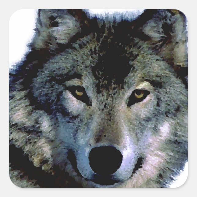 Wolf Square Sticker (Front)