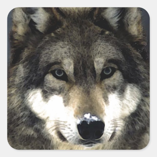 Wolf Square Sticker (Front)