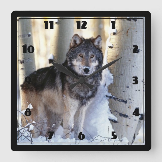 Wolf Square Wall Clock (Front)