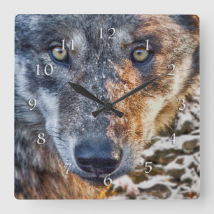 WOLF STAND YOUR GROUND SQUARE WALL CLOCK