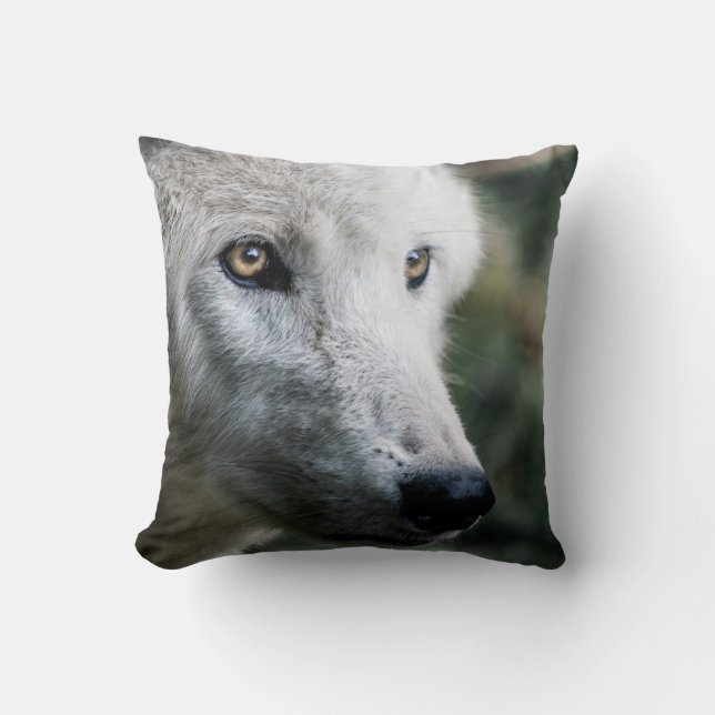 Wolf Stare Cushion (Front)