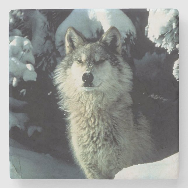 Wolf Stone Coaster (Front)