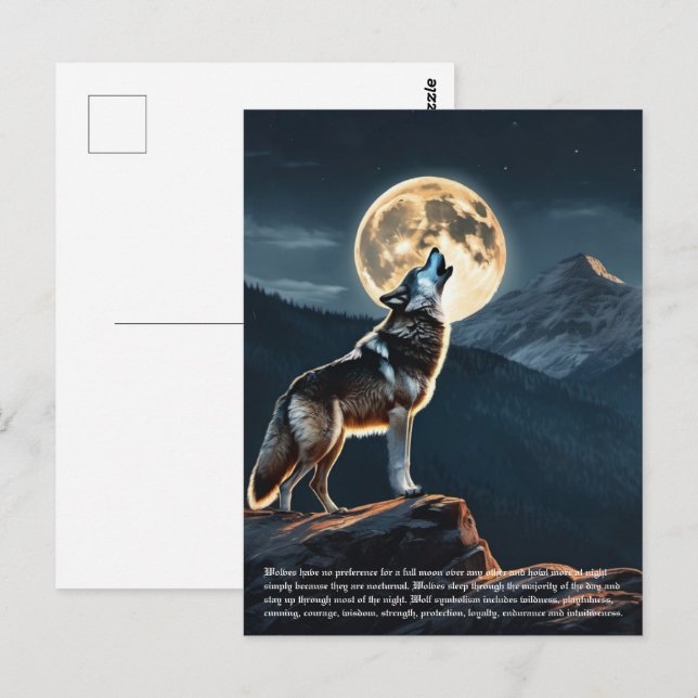 Wolf Symbolism Postcard (Front/Back)
