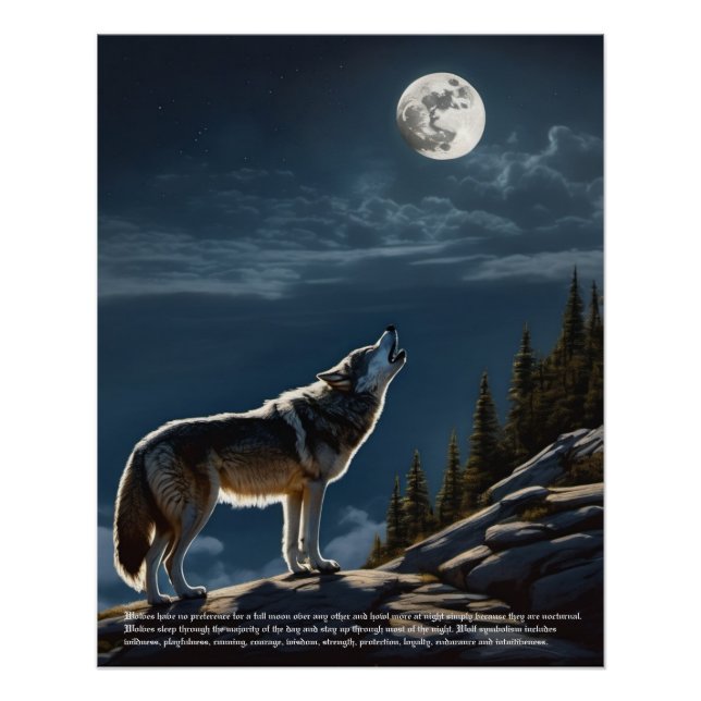 Wolf Symbolism Poster (Front)