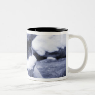 Wolf Two-Tone Coffee Mug