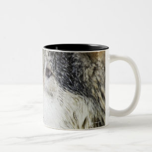 Wolf Two-Tone Coffee Mug