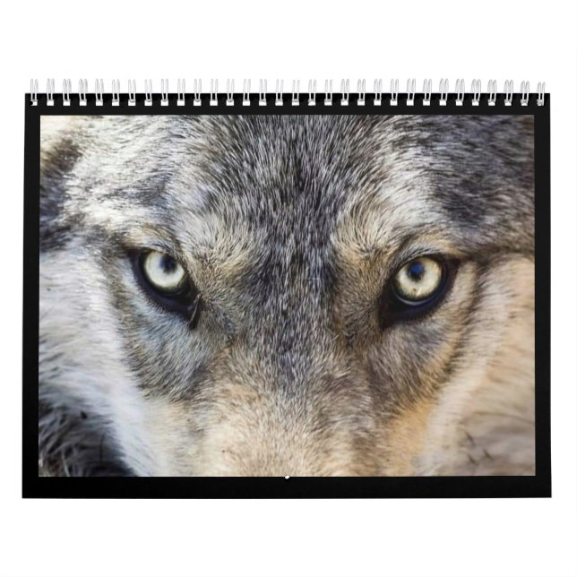 Wolf Wall Calendar (Cover)