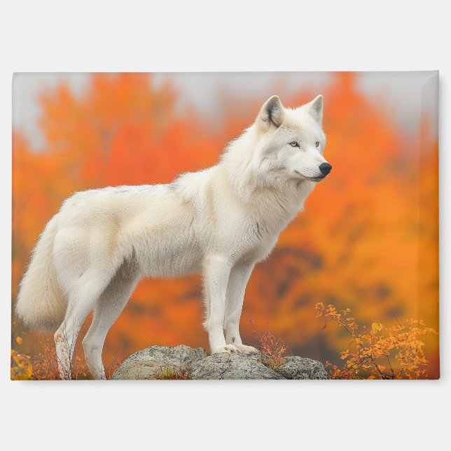 Wolf Wild Animal Loving Portrait Magnet (Front)