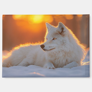 Wolf Wild Animal Loving Portrait Magnet