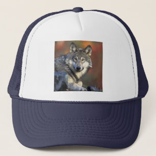 Wolf Wisdom Hat