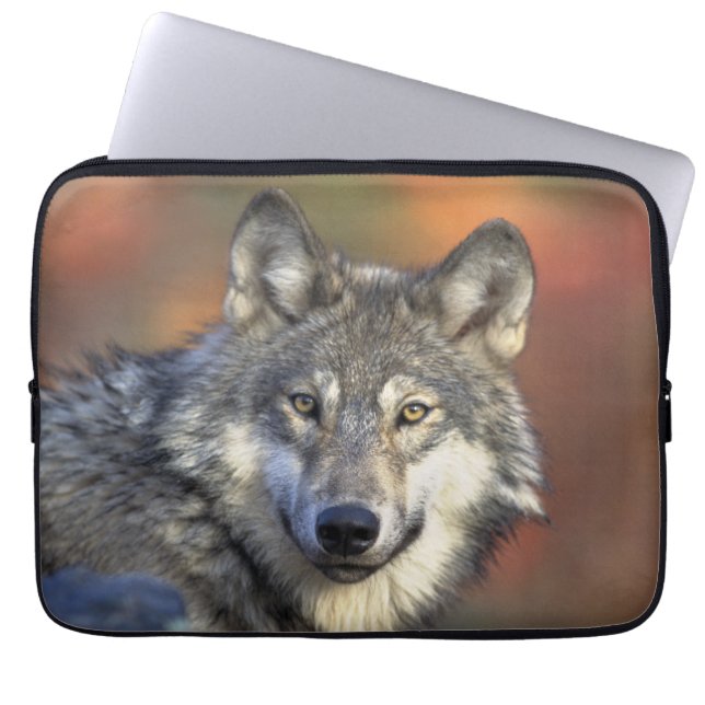 Wolf Wisdom  Laptop Sleeve (Front)