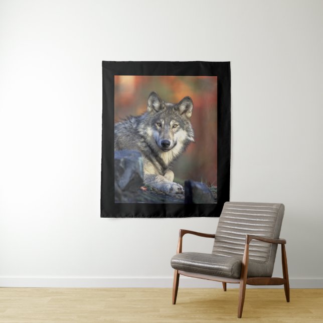 Wolf Wisdom Tapestry (In Situ)