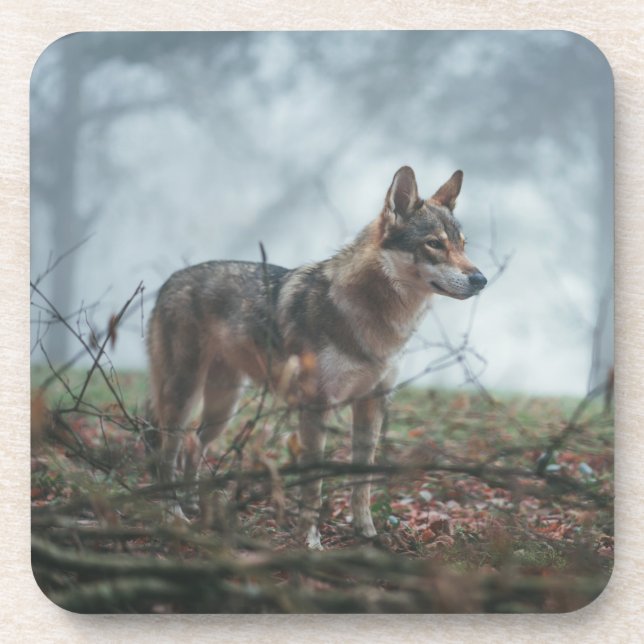 Wolfdog Beverage Coaster (Front)