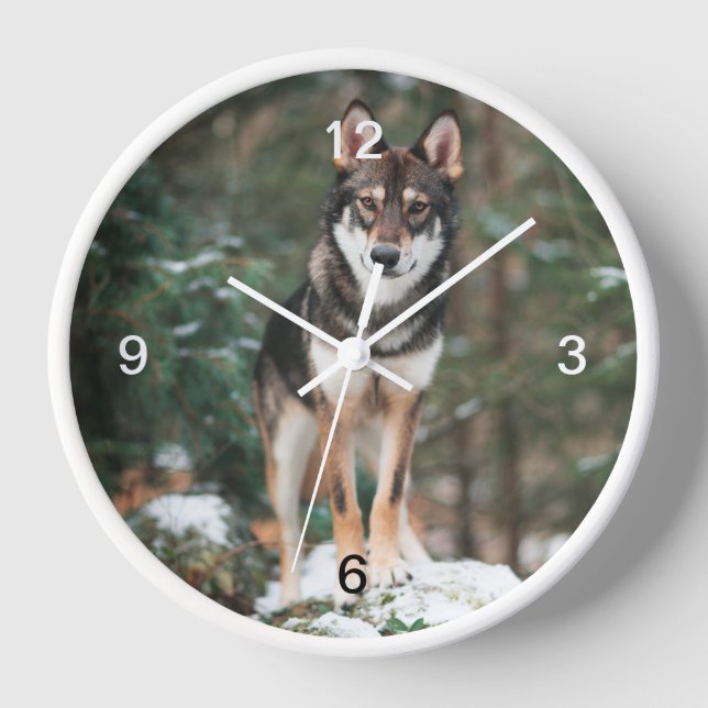 Wolfdog Clock (Front)