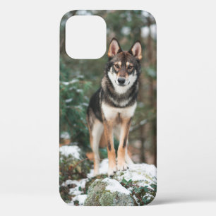 Wolfdog iPhone 12 Case