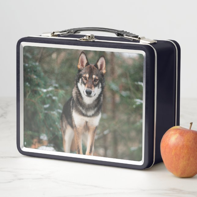 Wolfdog Metal Lunch Box (In Situ)
