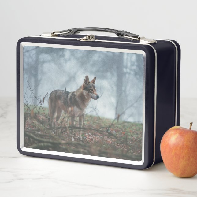 Wolfdog Metal Lunch Box (In Situ)