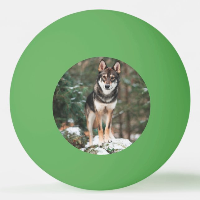 Wolfdog Ping Pong Ball (Front)