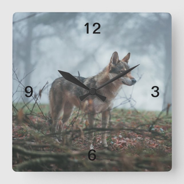 Wolfdog Square Wall Clock (Front)