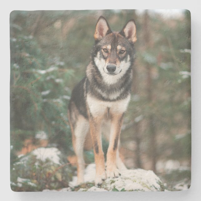 Wolfdog Stone Coaster (Front)