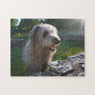 Wolfound Poodle Mix in Sunlit Pasture Jigsaw Puzzle