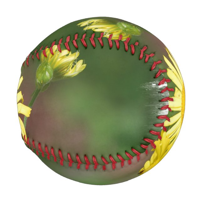 Wolf's Bane Baseball (Front Right)